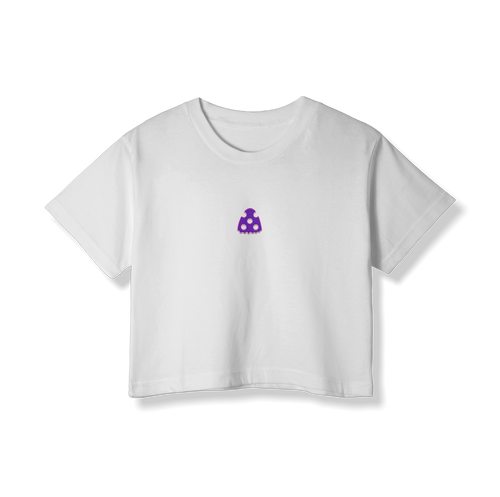 Embroidered PolkaDot Crop Top