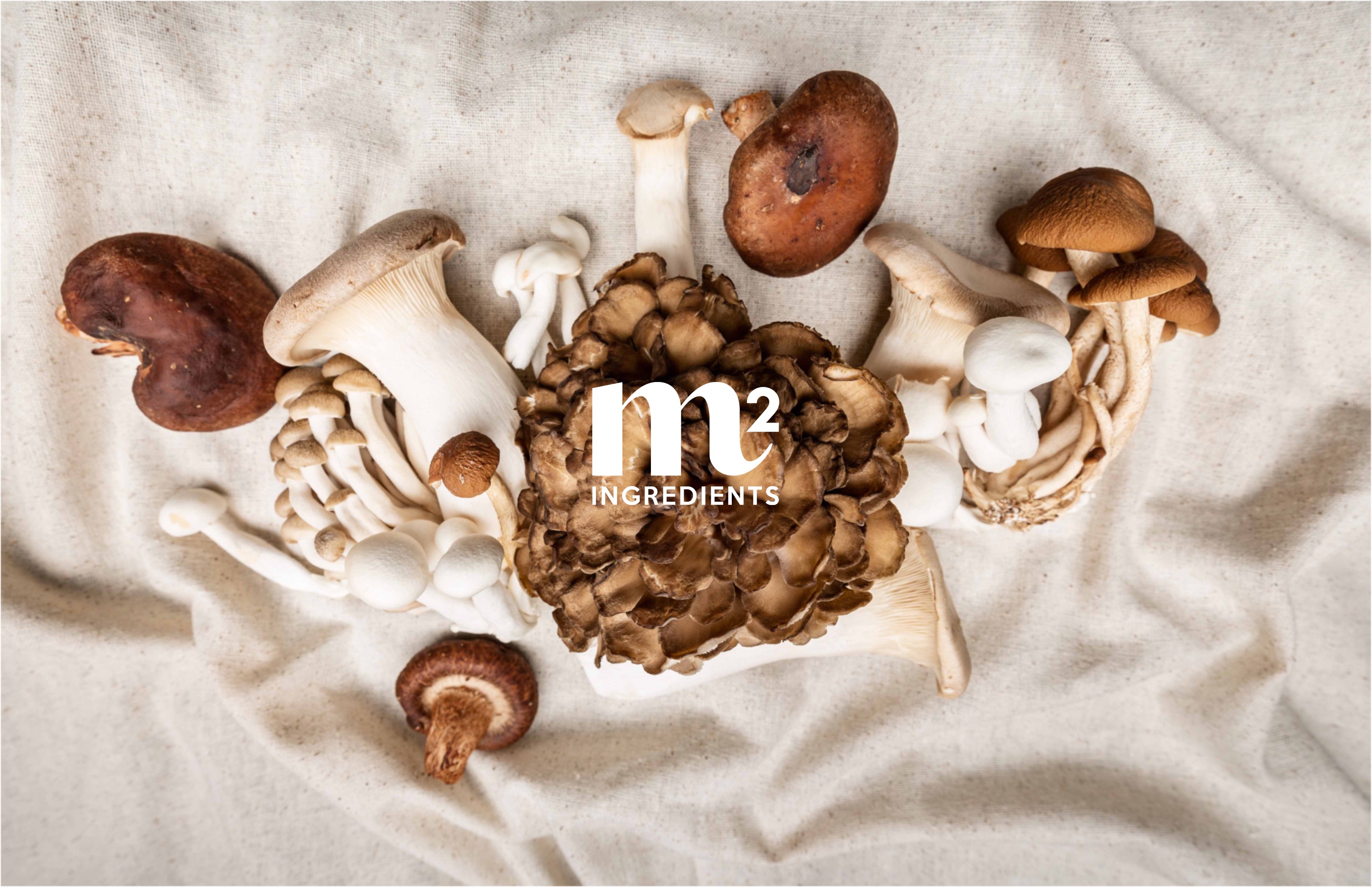 M2 Ingredients Collaboration